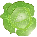 Раскраска капуста