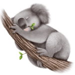 Раскраска Коала