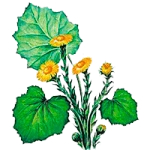 Раскраска Мать и мачеха