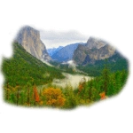 Раскраски природа для взрослых